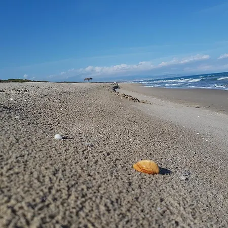 Villa Sulla Spiaggia Tra Catania E Siracusa *
